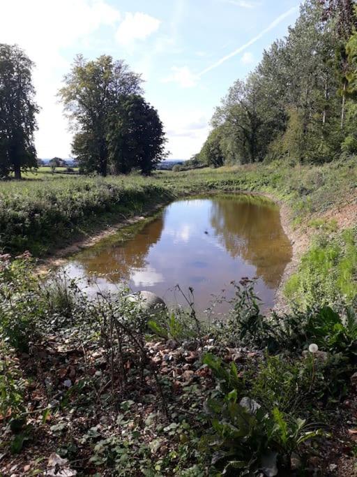 L'Atelier A L'Oree Des Bois Saint-Pierre-en-Auge Kültér fotó